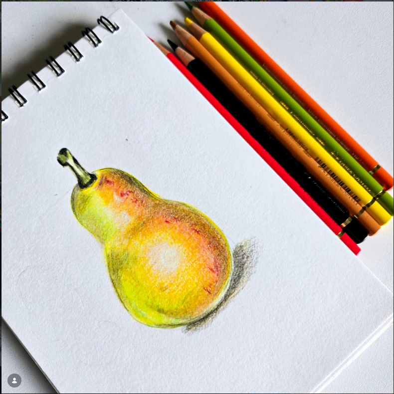 Color pencil sketch 12
