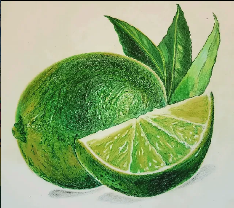 Color pencil sketch 3
