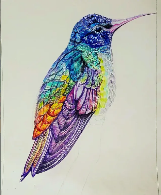 Color pencil sketch 4