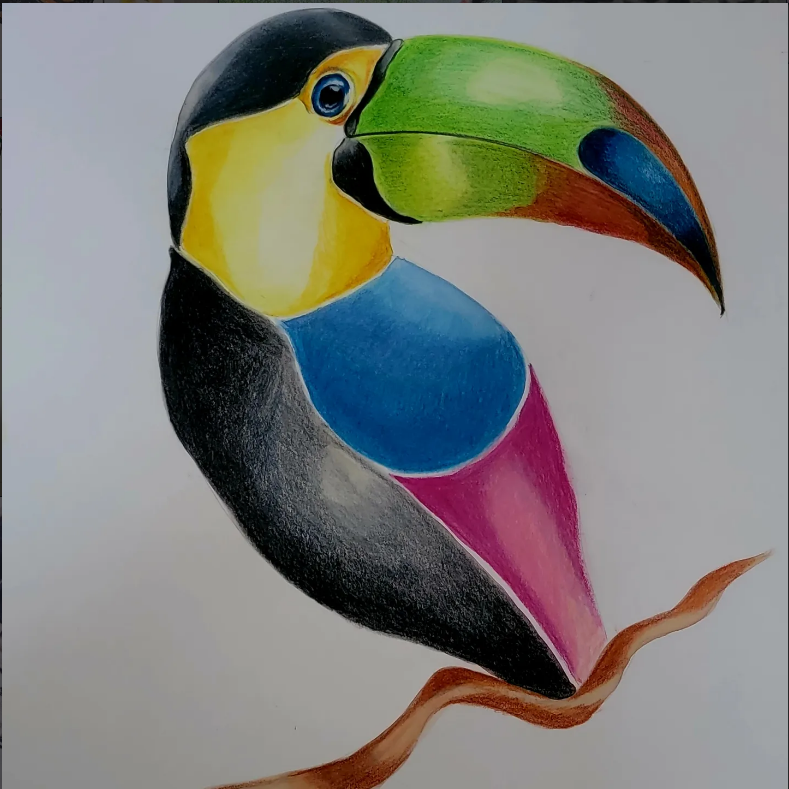 Color pencil sketch 6