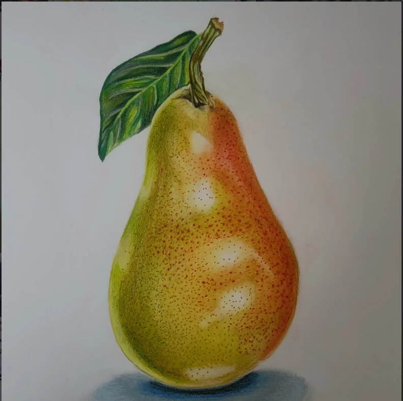 Color pencil sketch 7