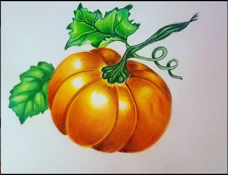 Color pencil sketch 9