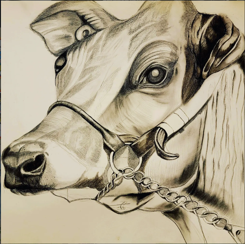 Pencil sketch 2